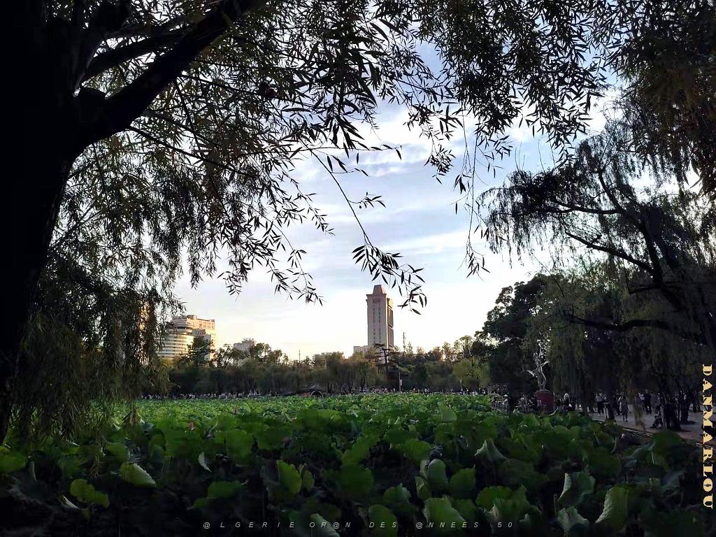 Kunming - Parc Cuihu - 70.jpg